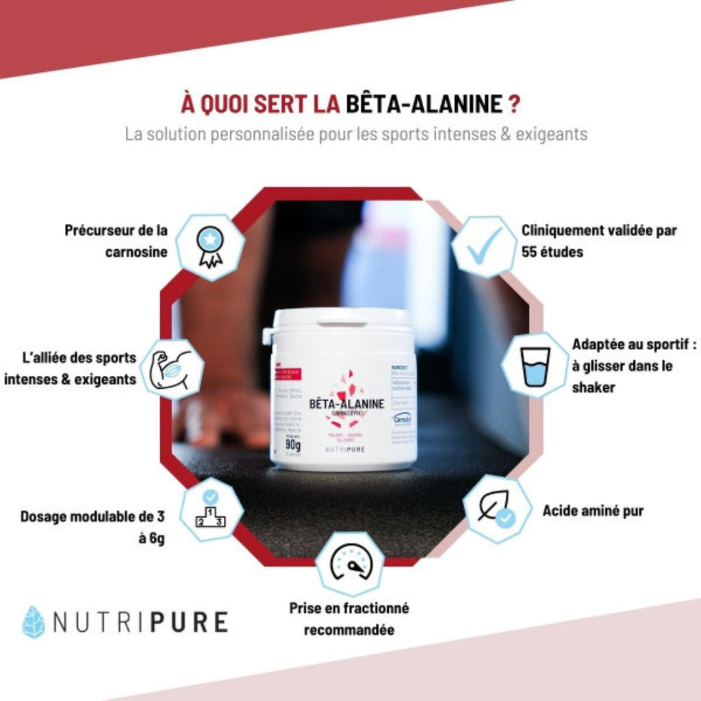 Infographie Bêta-Alanine CarnoSyn® – précurseur carnosine pour efforts intenses
