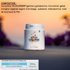 CURCUMINE