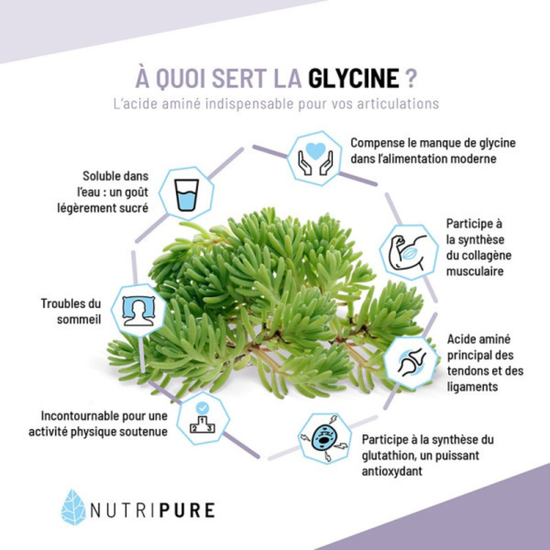 GLYCINE