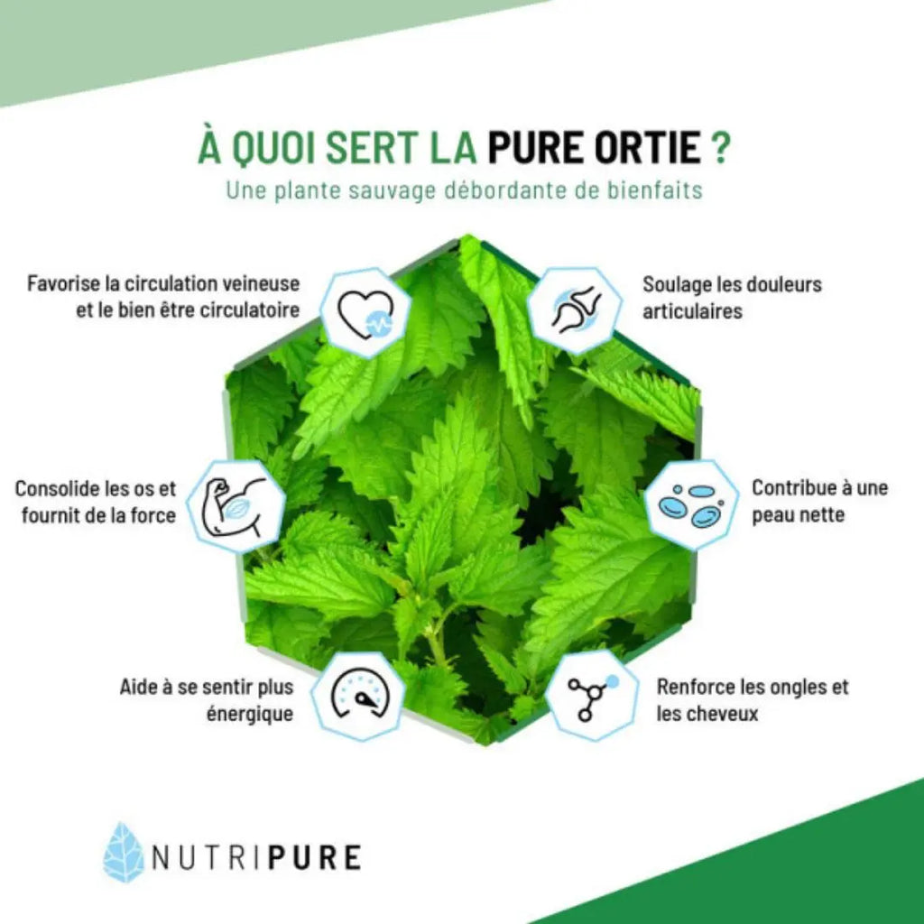 Poudre de Feuilles d'Ortie Bio – Nutripure
