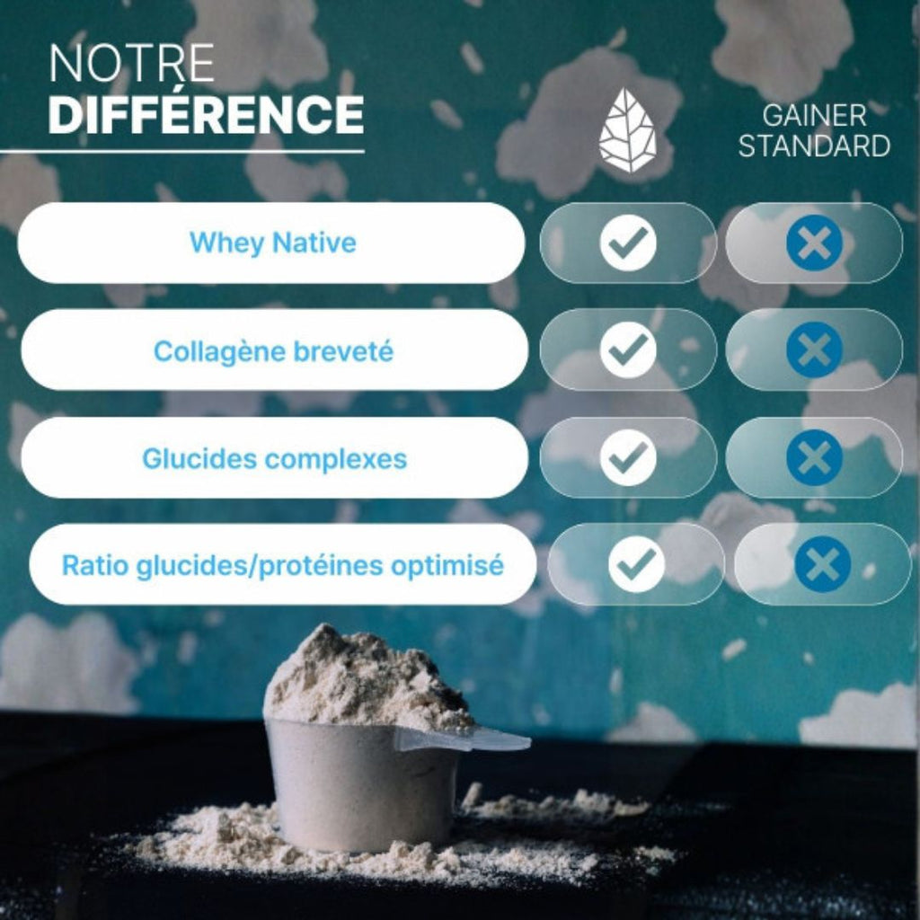 Pure Gainer – whey native, collagène breveté et glucides complexes