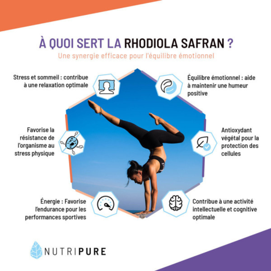 RHODIOLA ROSEA + SAFRAN