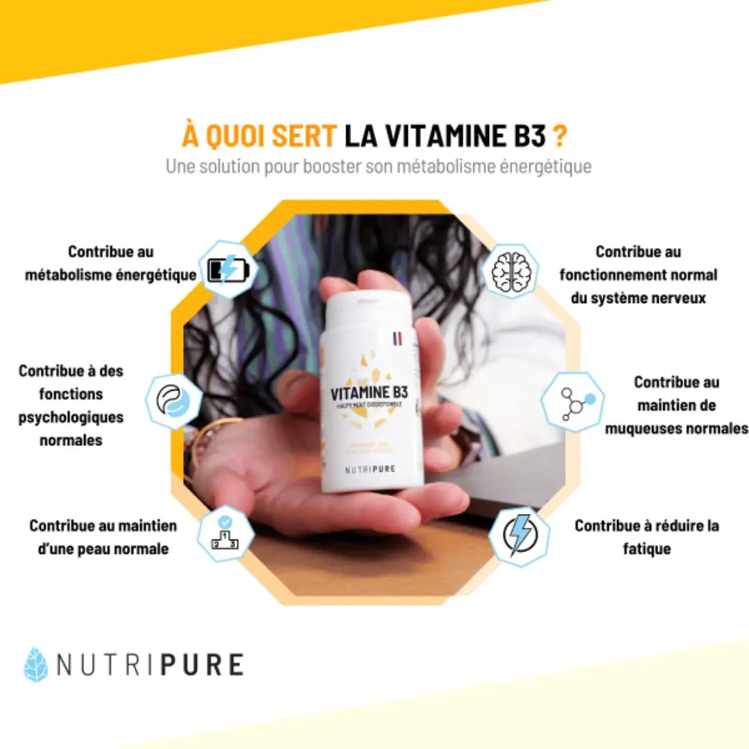 Infographie Vitamine B3 – bénéfices énergie et système nerveux